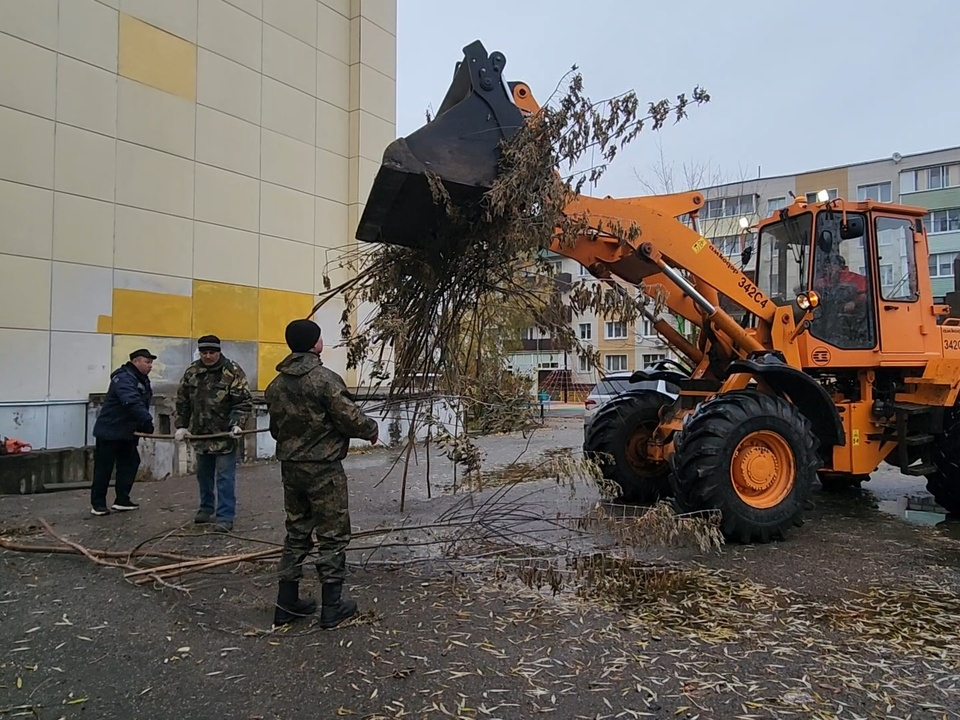 Фото: Ольга Антонова