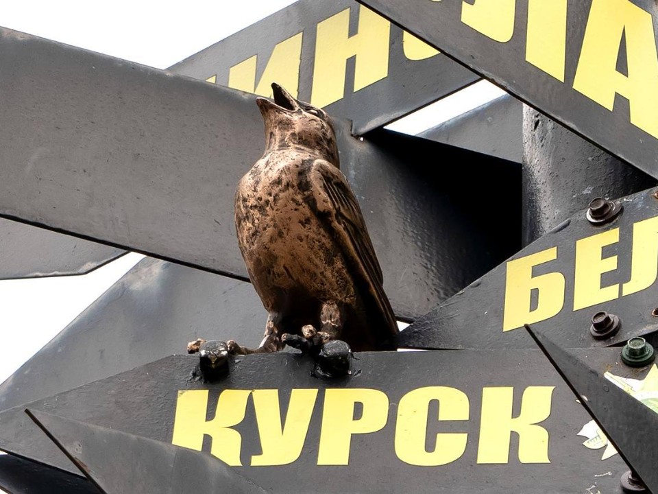 Фото: пресс-служба администрации г. о. Подольск