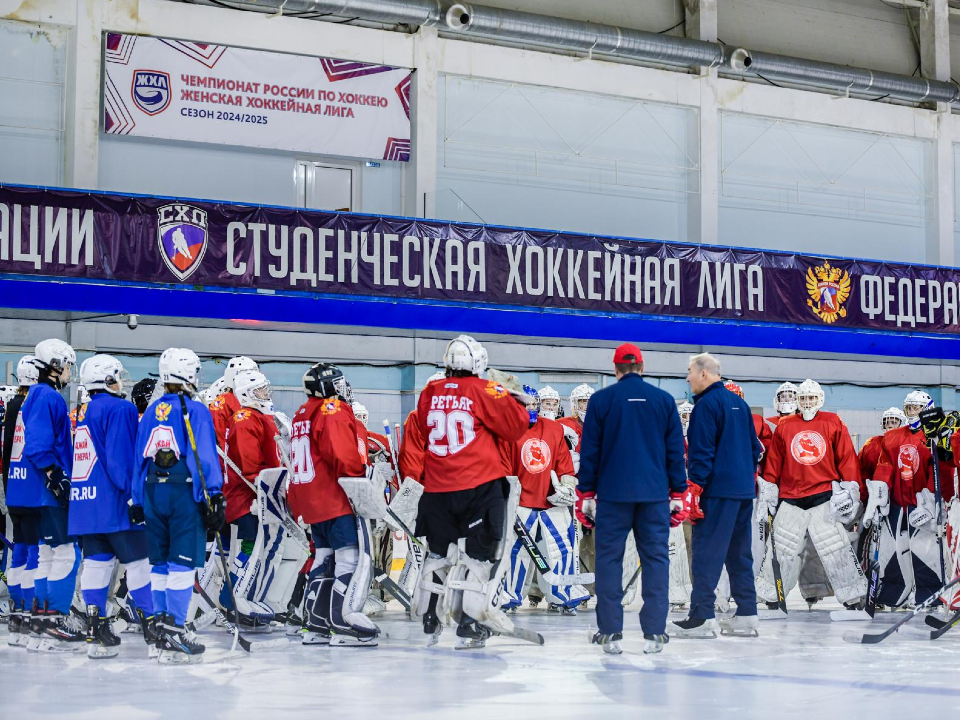 Фото: администрация Дмитровского городского округа