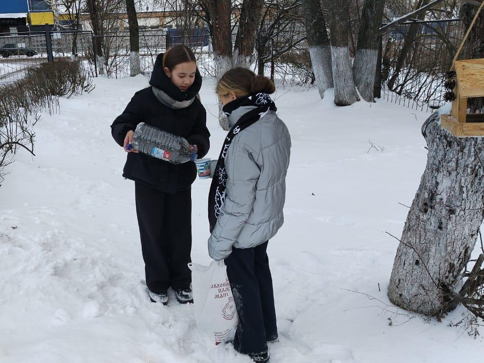 Фото: Комитет лесного хозяйства Московской области