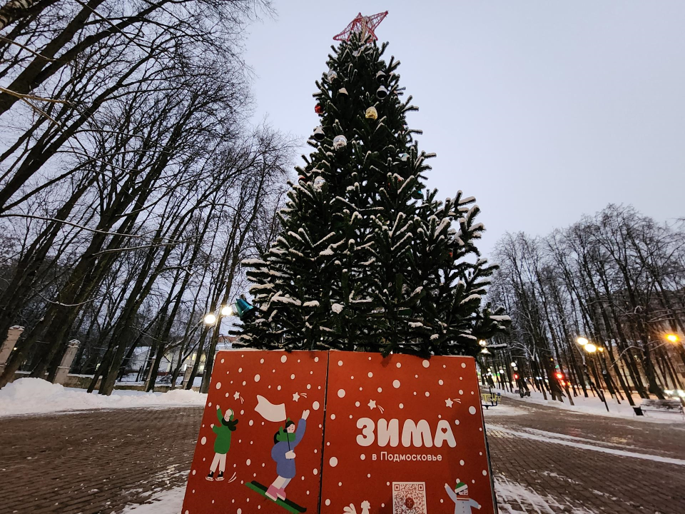 Фото: Дмитрий Алексеенко