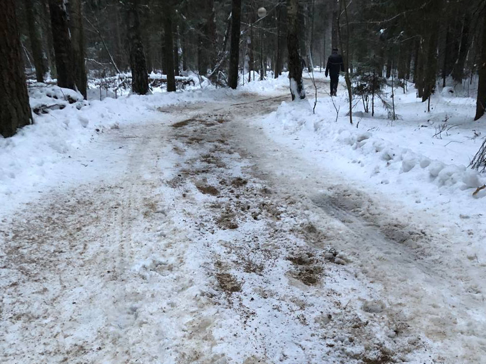 Участок неубранной пешеходной тропинки в наукограде. Фото: t.me/chernogolovka_live