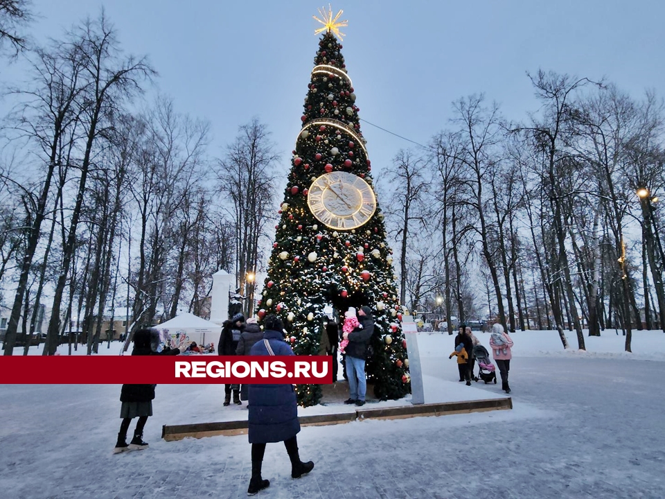 Фото: REGIONS/Валерий Гореловский