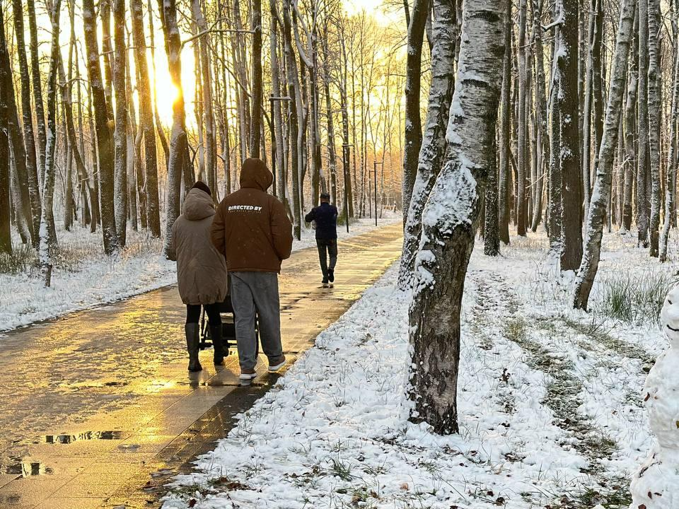 Фото: Министерство благоустройства Московской области