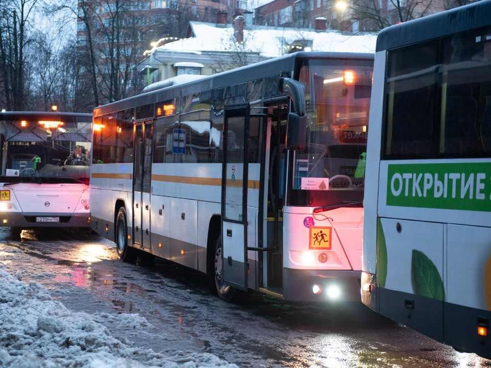 Фото: пресс-служба администрации г.о. Химки