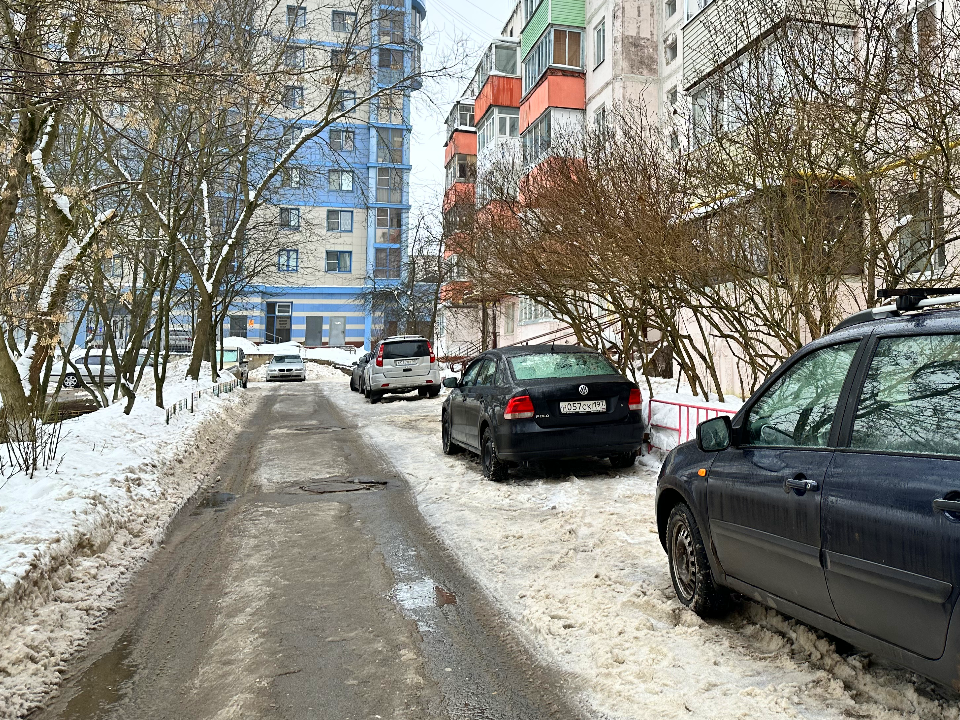 Фото: МедиаБанк Подмосковья/Лилия Закирова