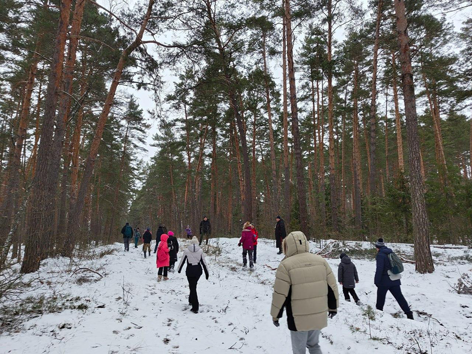 Фото: Комитет лесного хозяйства МО