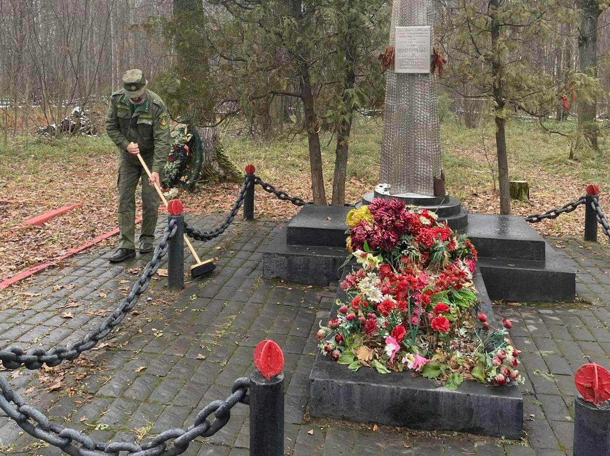 Фото: Комитет лесного хозяйства Московской области