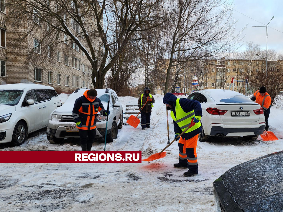 Фото: Андрей Алекин