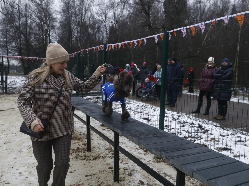 Фото: музей-заповедник «Горки Ленинские»