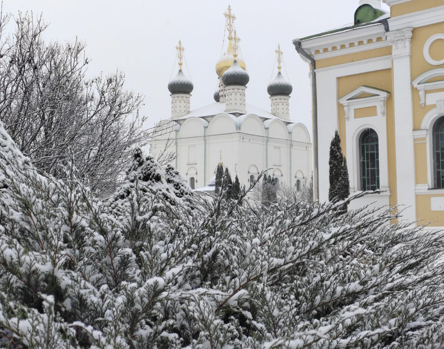 Фото: Евгений Мазепов