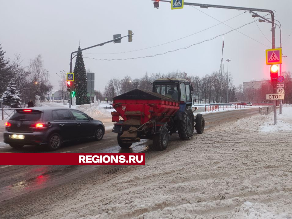 Фото: REGIONS/Юлия Павлова