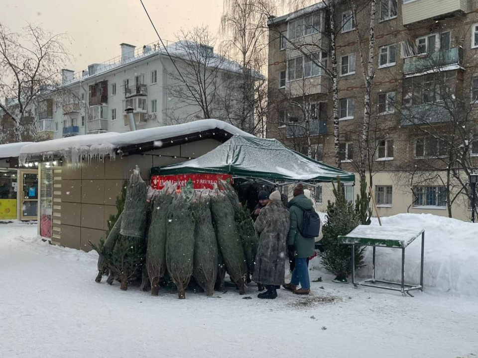 Фото: пресс-служба администрации г.о. Лобня