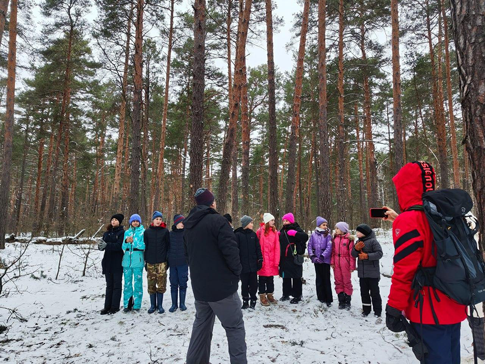 Фото: Комитет лесного хозяйства МО