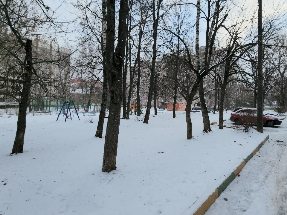 Фото: МедиаБанк Подмосковья/Валерий Гореловский 