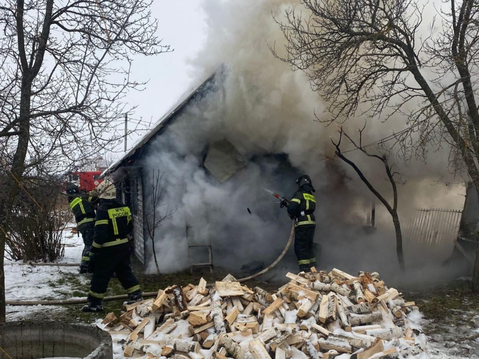 Фото: ГКУ МО «Мособлпожспас»  