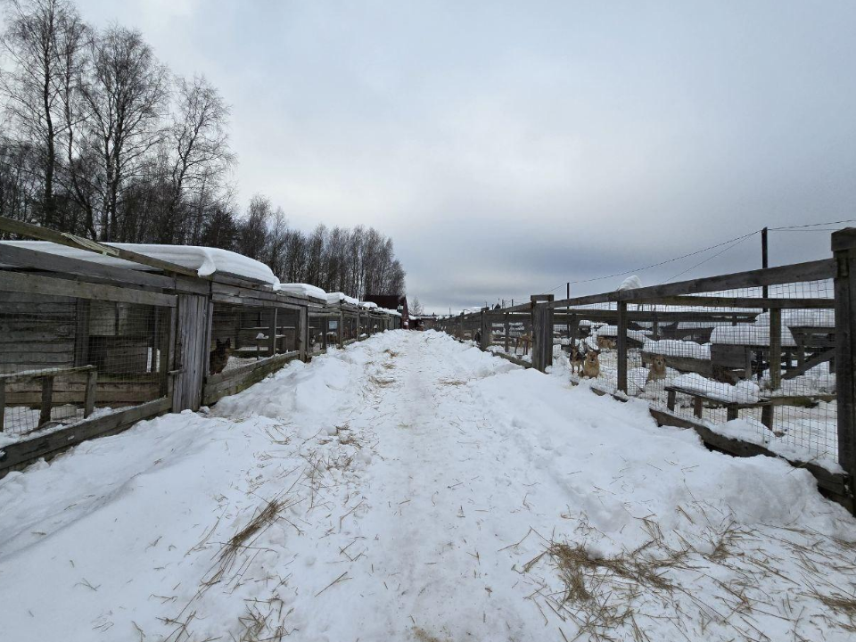 Фото: Яна Шаливская