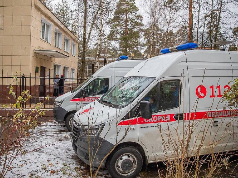 Фото: пресс-служба администрации Одинцовского городского округа