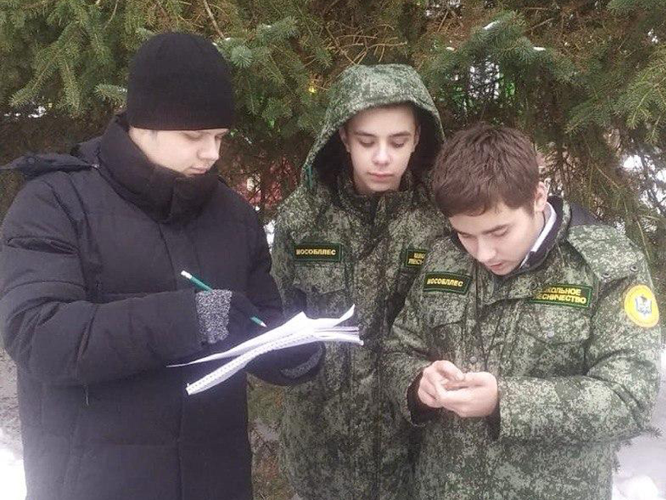 Фото:  Комитет лесного хозяйства МО