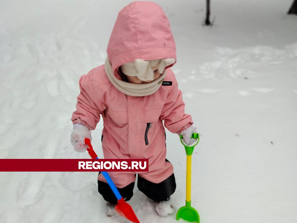 Фото предоставлено жительницей Жуковского 