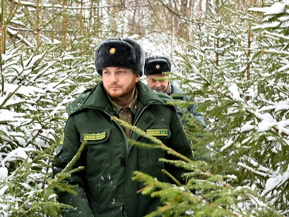 Фото: пресс-служба администрации г.о. Серпухов