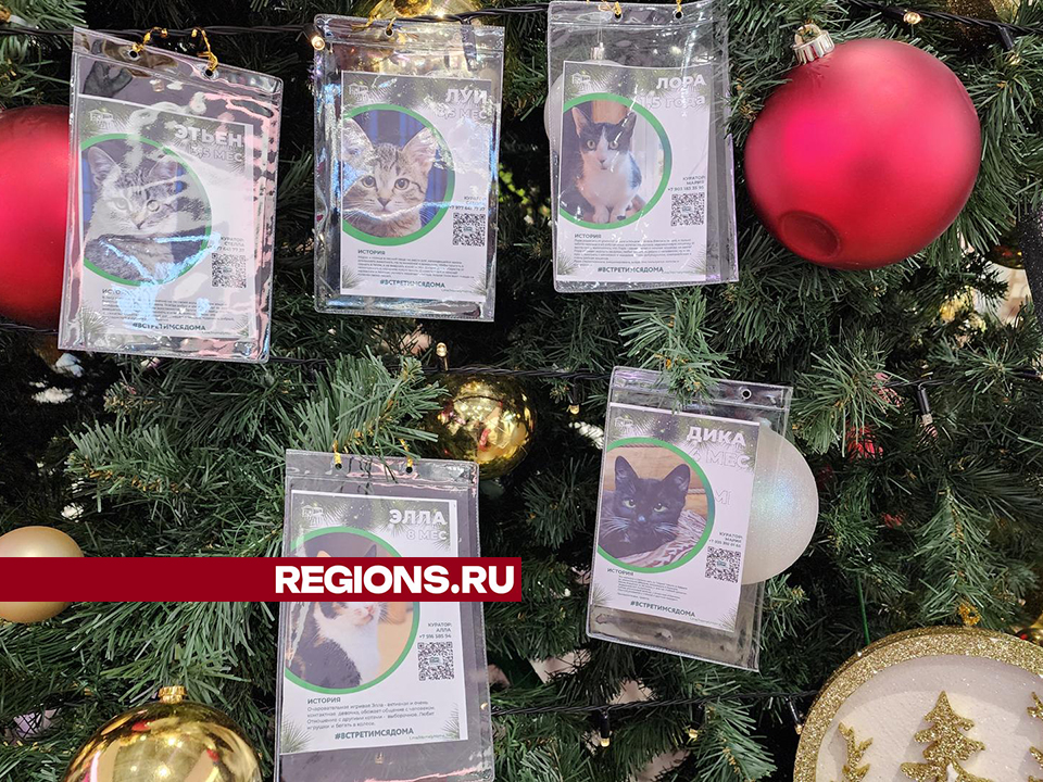 Фото: Ольга Шеметова