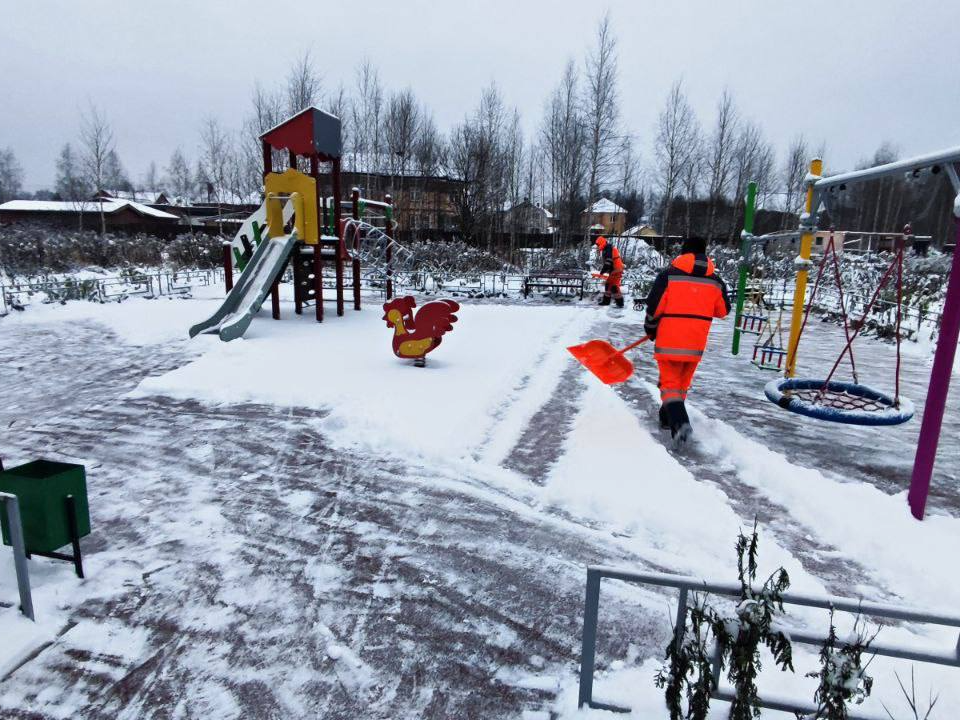 Фото: пресс-служба администрации Пушкинского г.о.