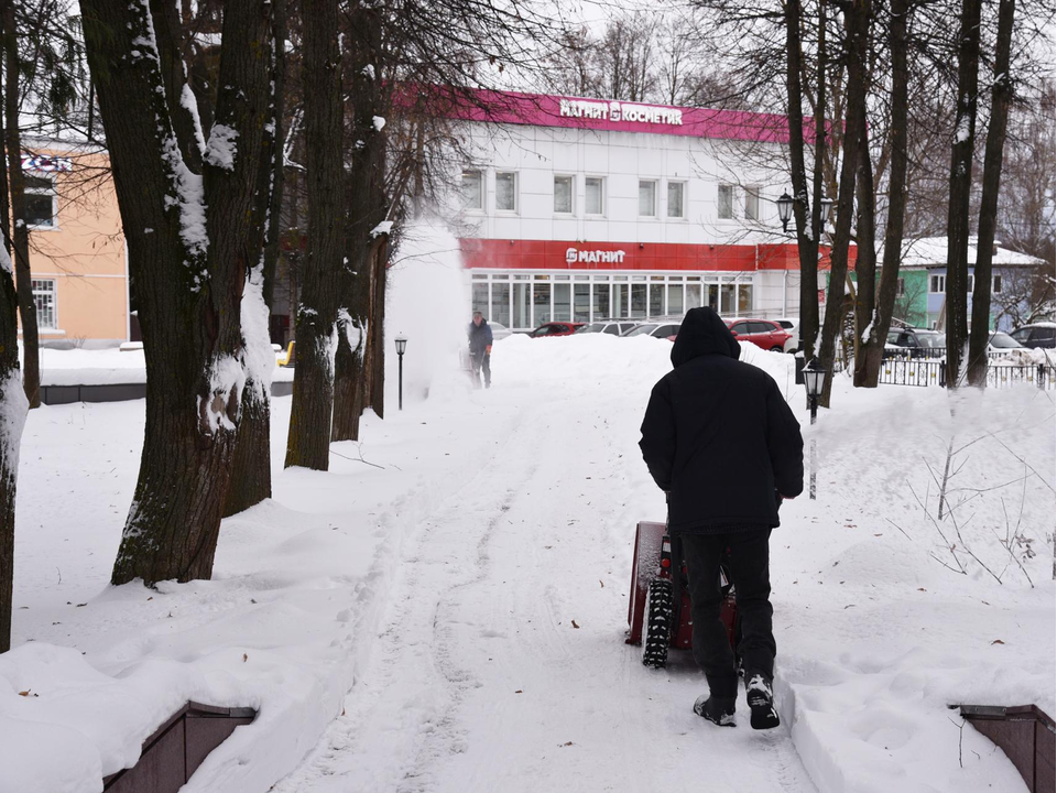 Фото: Владимир Останин