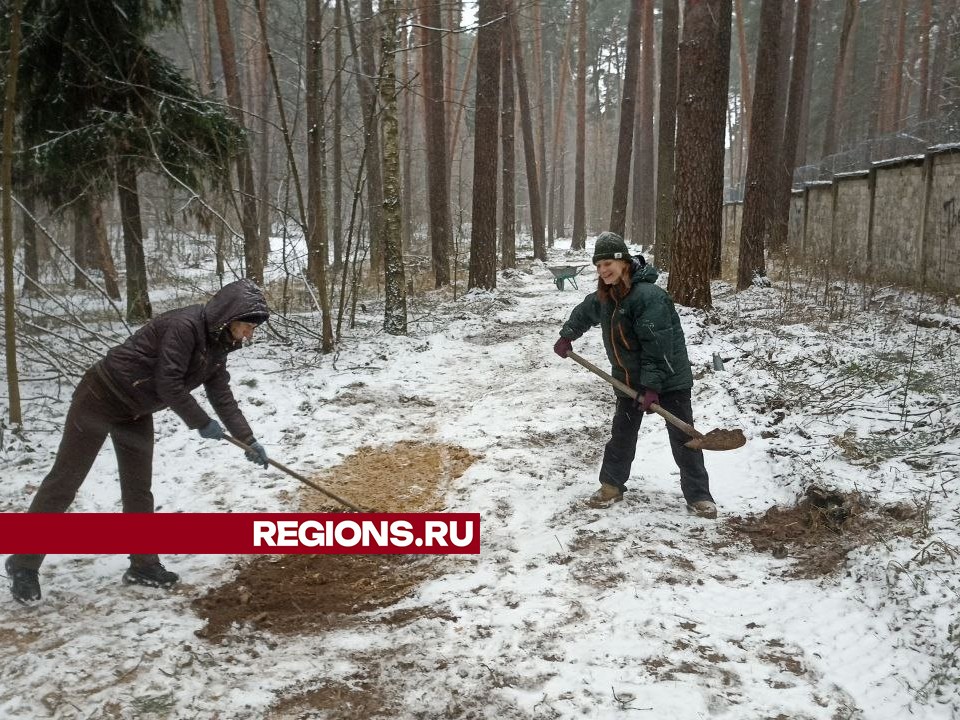 Фото: Иван Шеломанов