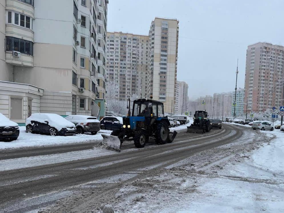 Фото: пресс-служба администрации г. о. Красногорск