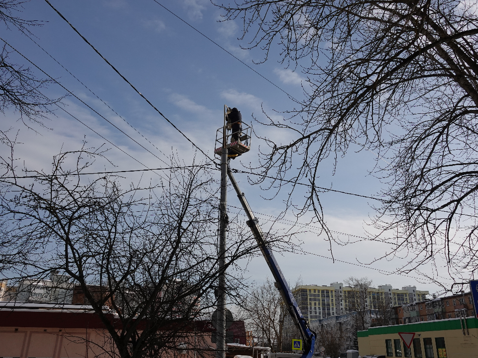 Фото: МедиаБанк Подмосковья/Дарья Леонова
