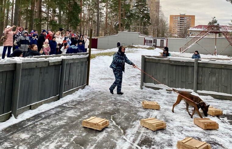 Фото: пресс-служба ГУ МВД России по Московской области