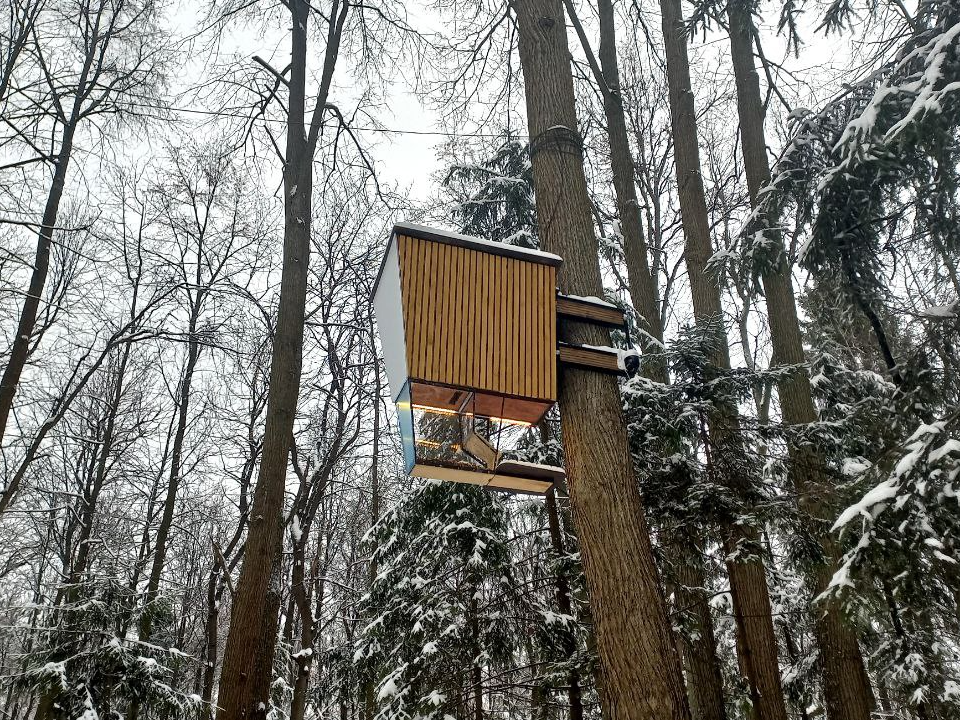 Фото: REGIONS/Олег Книжник