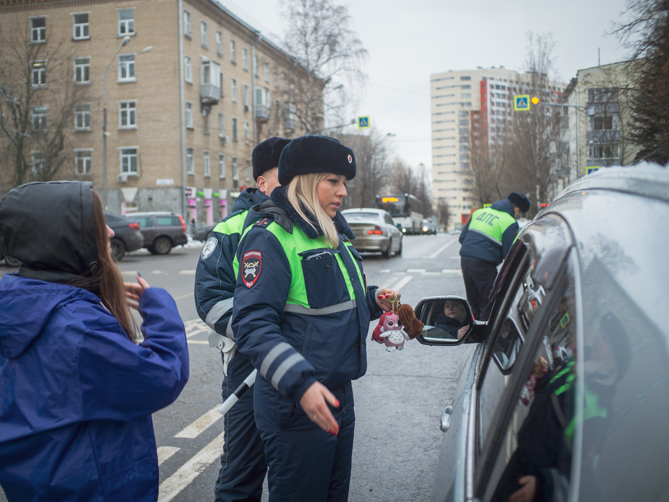 Фото: Илья Стрижевский