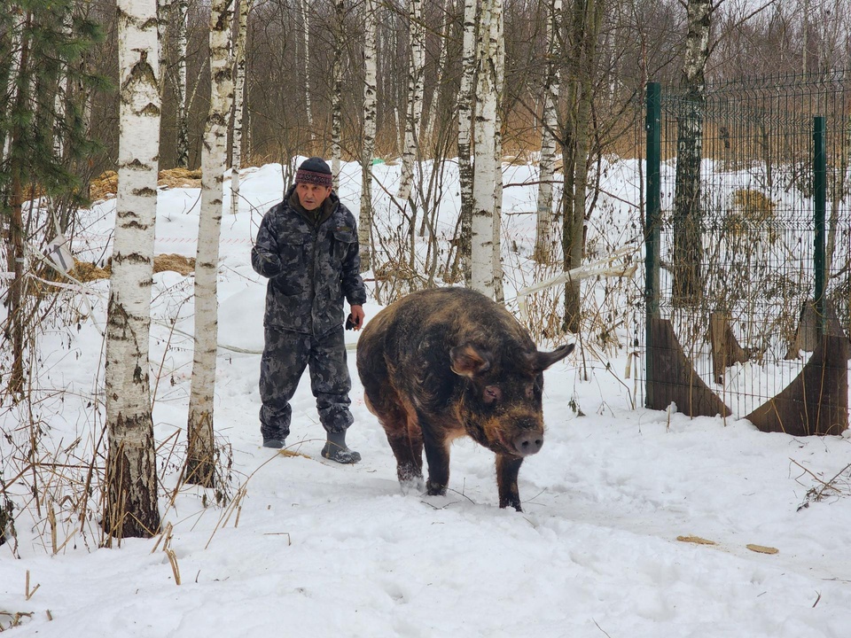 Фото: Ольга Аввакумова