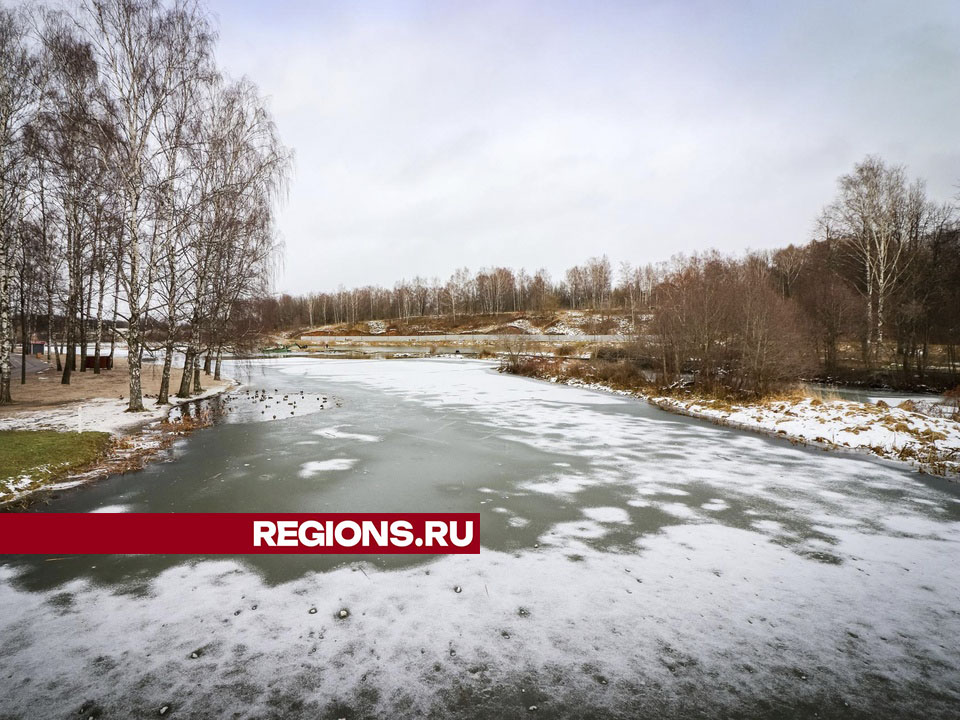 Фото: МедиаБанк Подмосковья/Данила Кирьянов