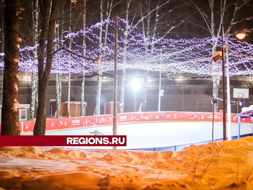 Фото: МедиаБанк Подмосковья/Данила Кирьянов 