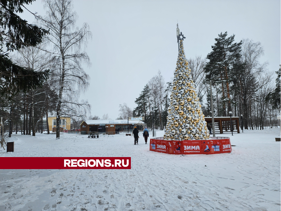 Фото: МедиаБанк Подмосковья/Арина Кузнецова