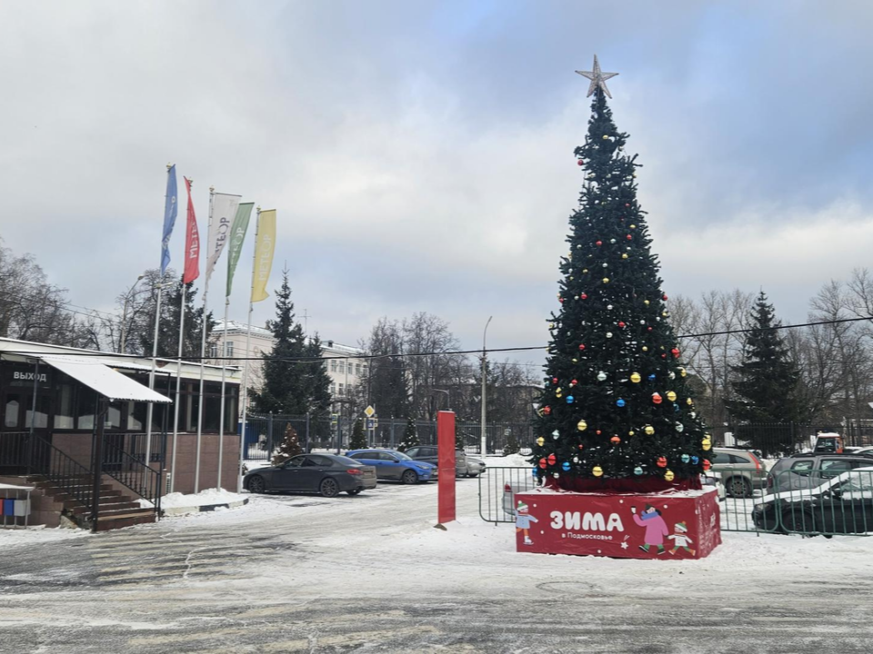 Фото: Ольга Вельшикаева