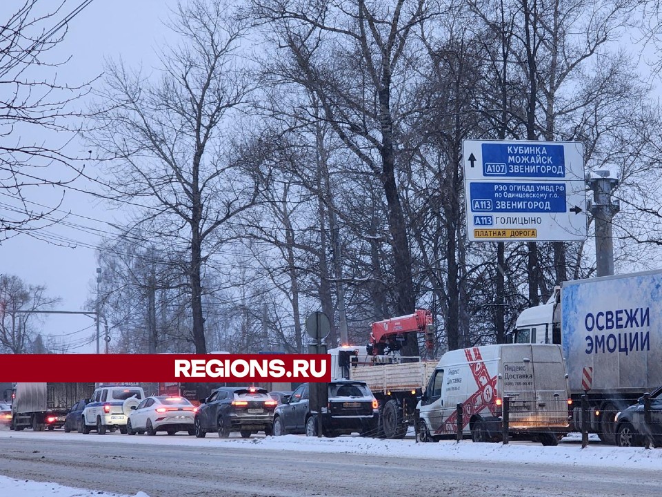 Фото: Никита Сморкалов