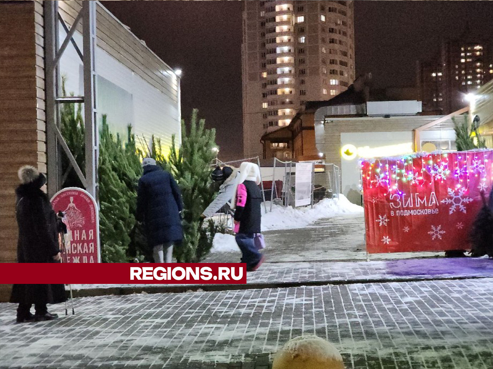 Фото: Мария Андрюхина