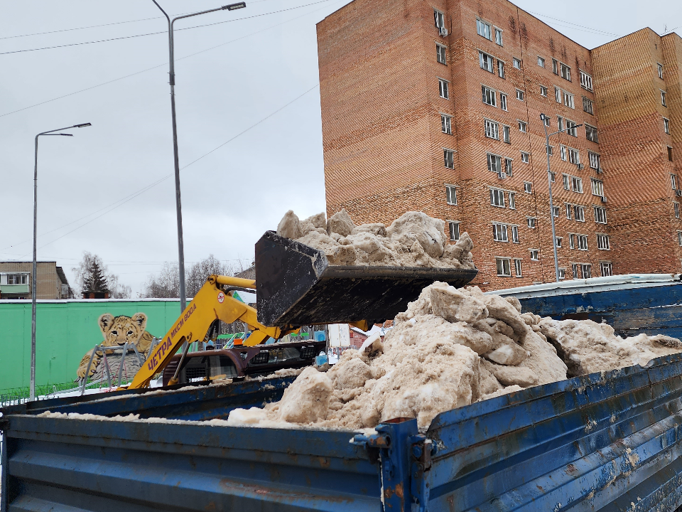 Фото: МедиаБанк Подмосковья/Андрей Алекин