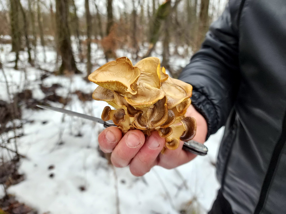 Фото: Ольга Аввакумова