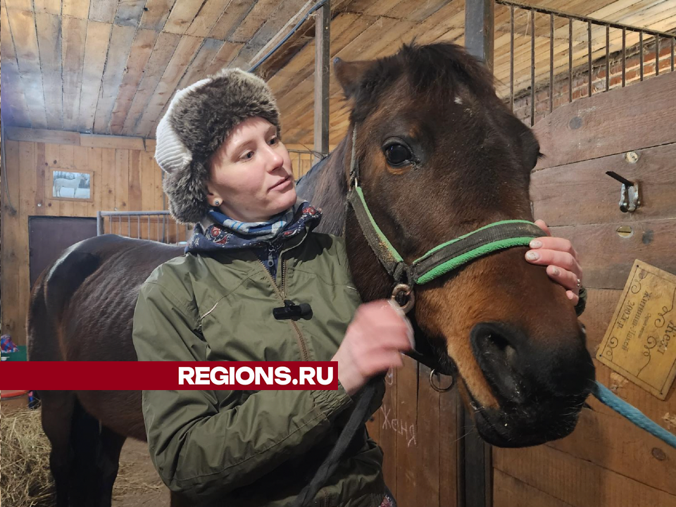 Фото: REGIONS/Наталья Дорошева