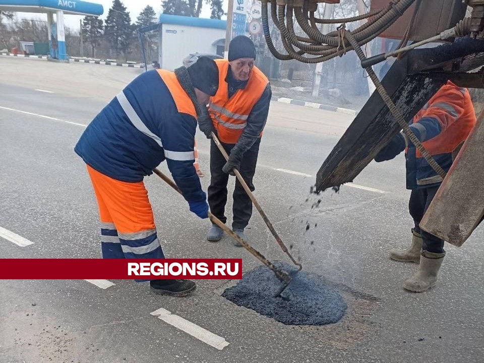 Фото: Светлана Плотникова