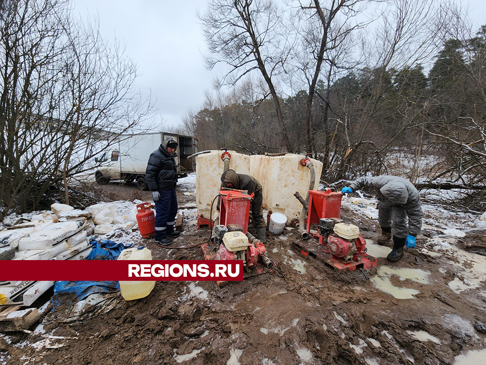 Фото: REGIONS/Александр Степушкин