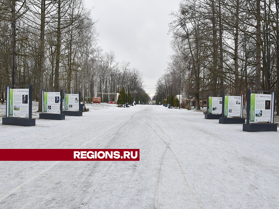 Фото: REGIONS/Наталья Бычкова