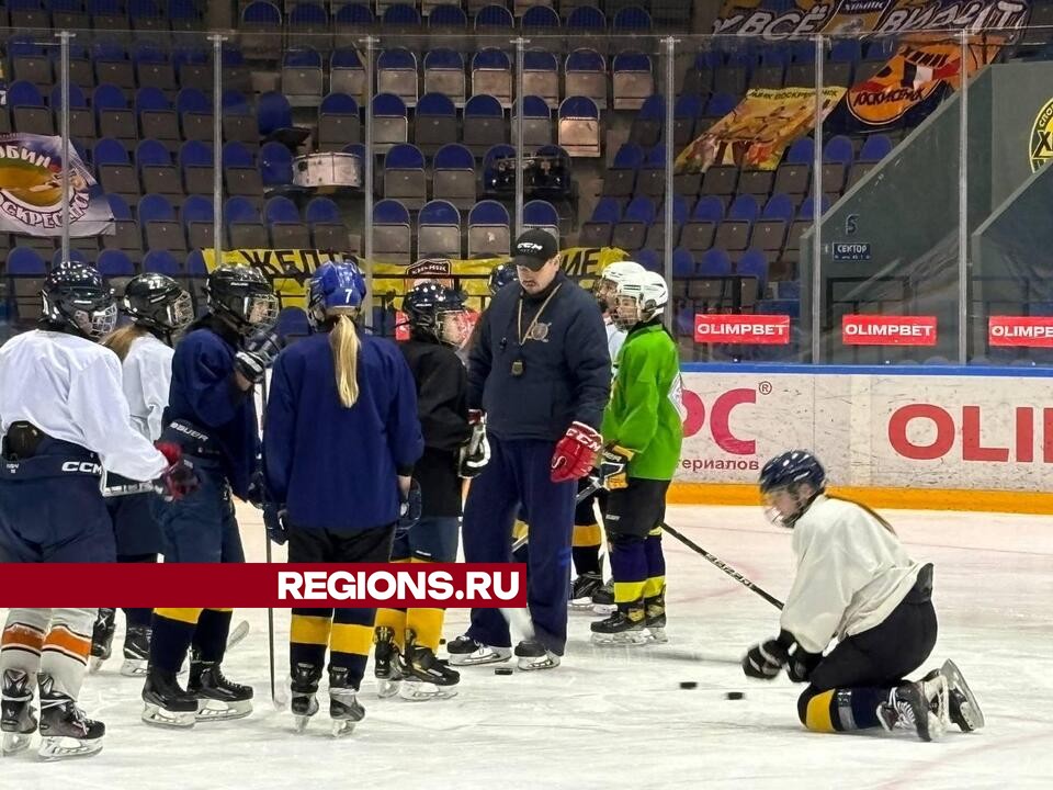 Фото: Светлана Плотникова