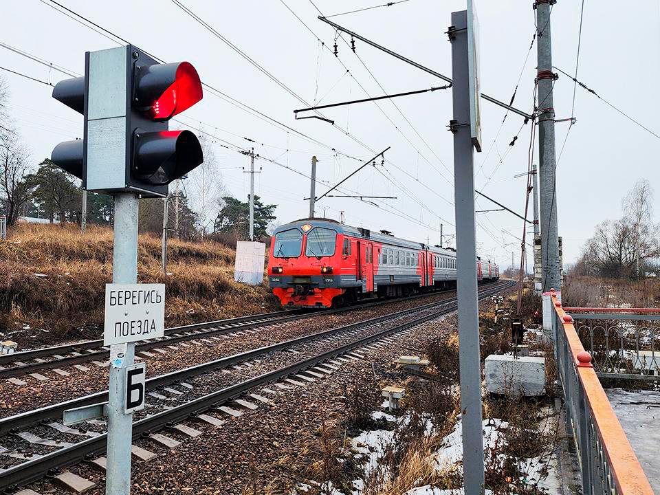 Фото: МедиаБанк Подмосковья/Андрей Семибратов