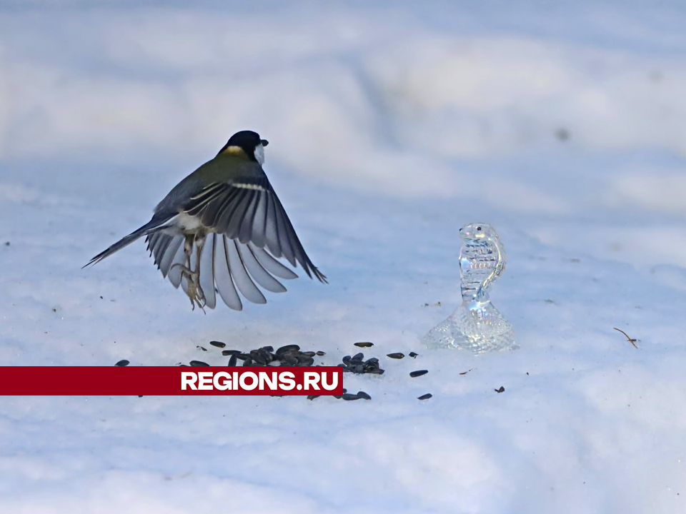 Фото: личный архив Сергея Маслова